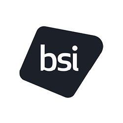 The British Standards Institution