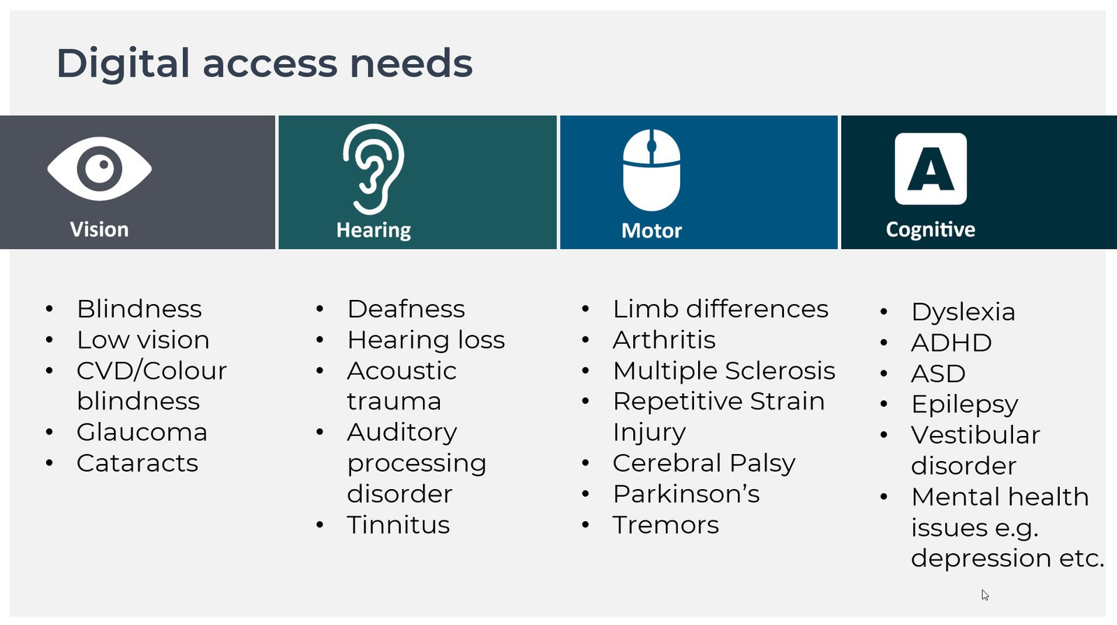Digital access needs – challenging assumptions