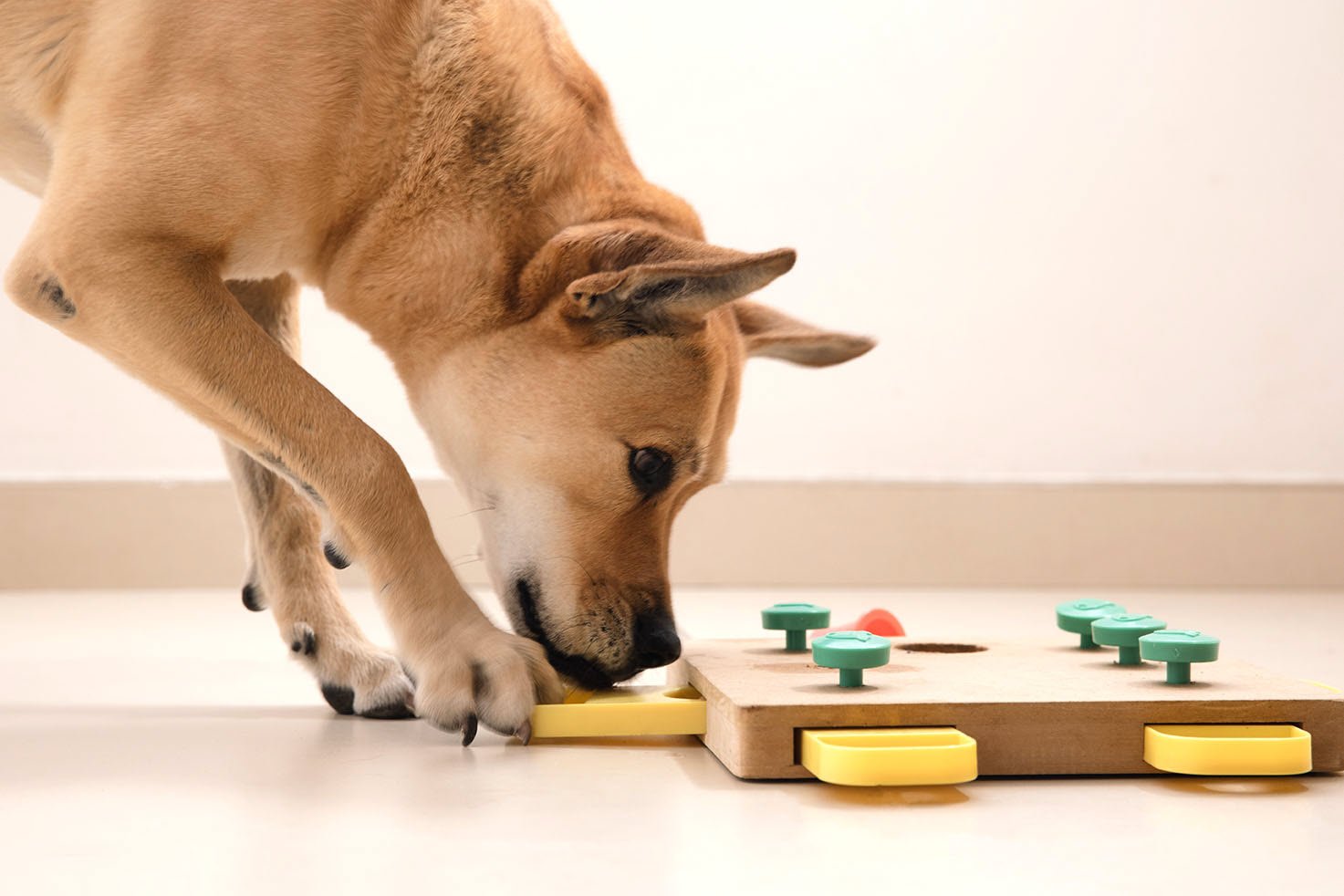 Design accessible eLearning interactions for better learning
